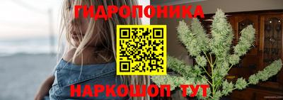 гидропоника Заводоуковск