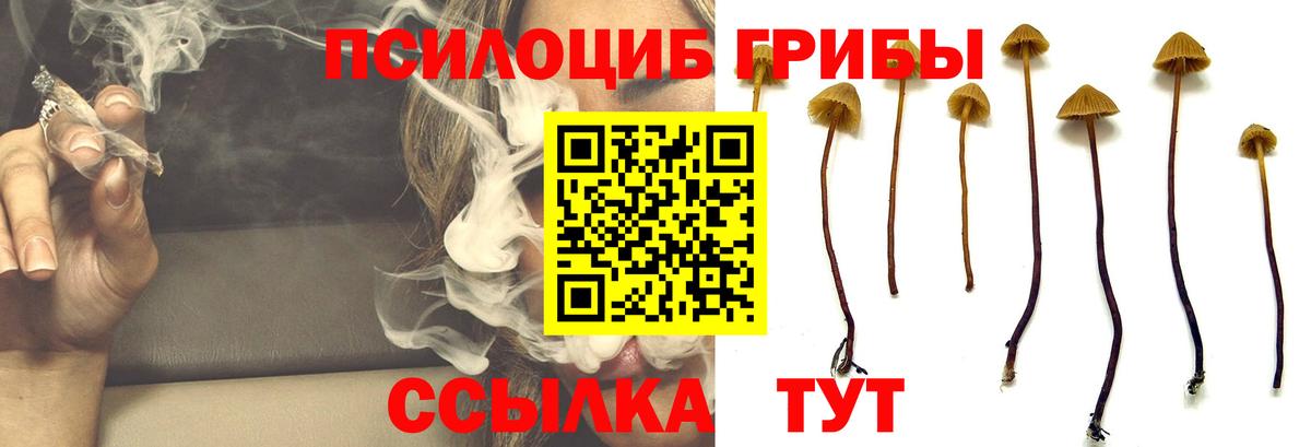 Менделеевск  Галлюциногенные грибы GOLDEN TEACHER  Вход с VPN 